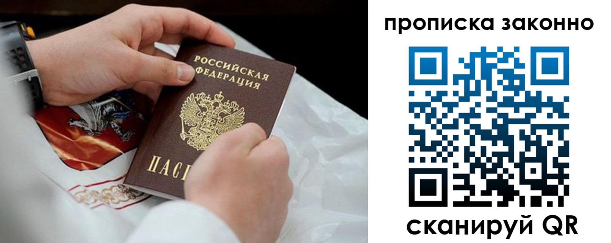 прописка в Полярных Зорях